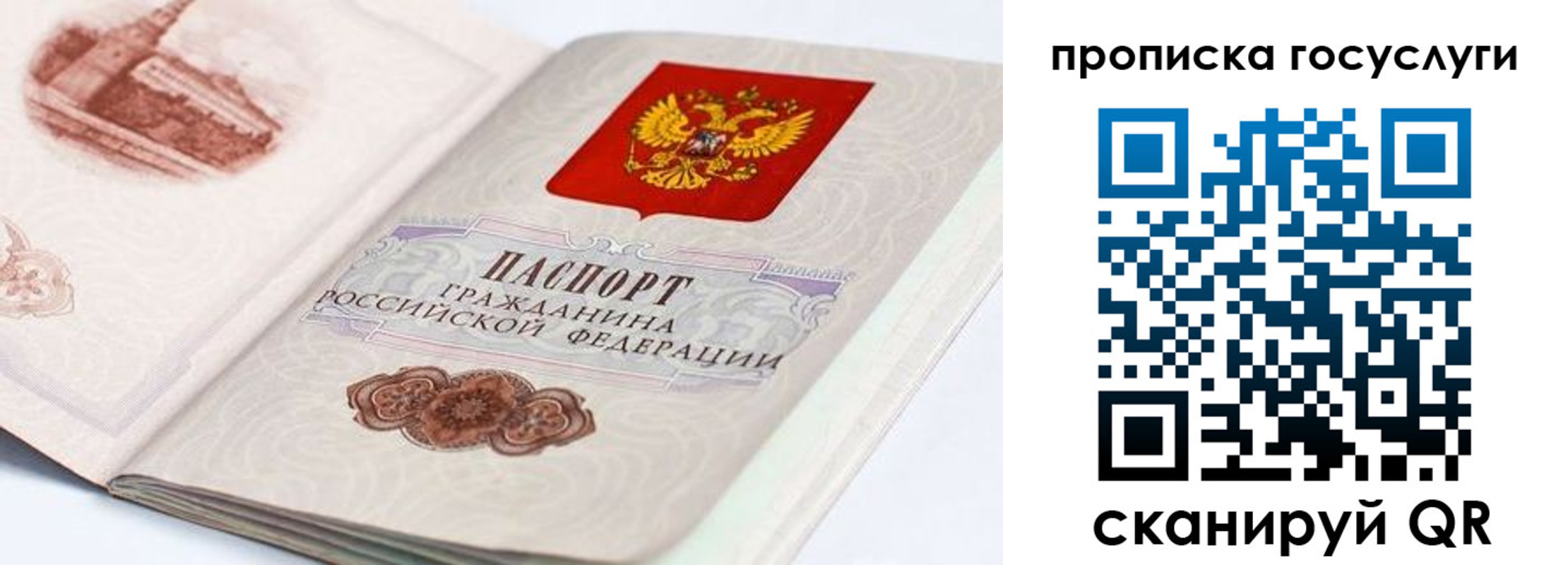 прописка гарантия в Осташкове